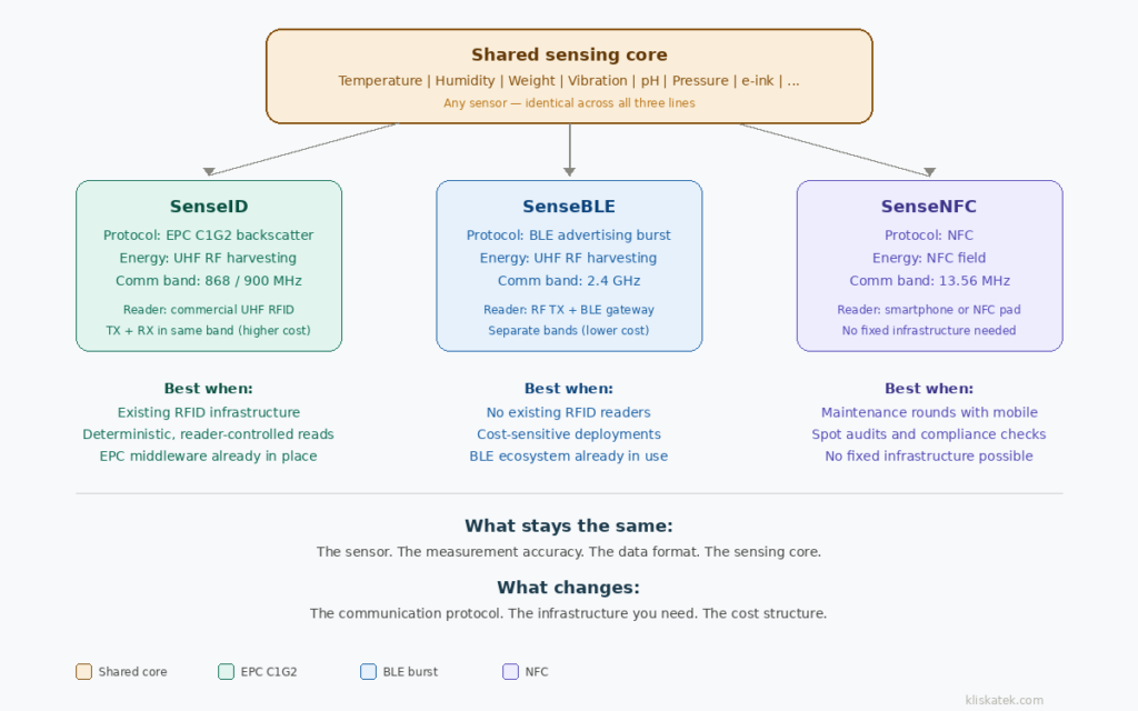 kliskatek-one-sensor-three-protocols Diagram showing one shared sensing core at the top branching into three protocol paths — SenseID (EPC C1G2), SenseBLE (BLE burst) and SenseNFC (NFC) — each with different infrastructure requirements but identical sensing capabilities.